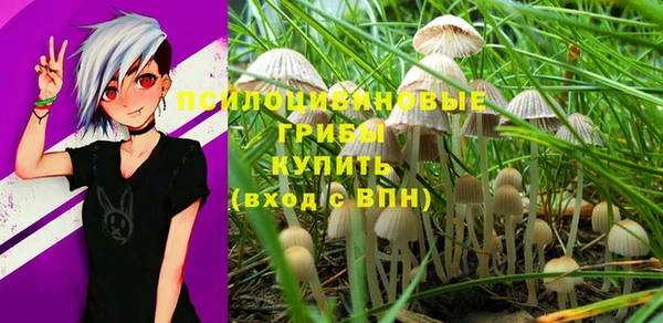 метамфетамин Алексеевка